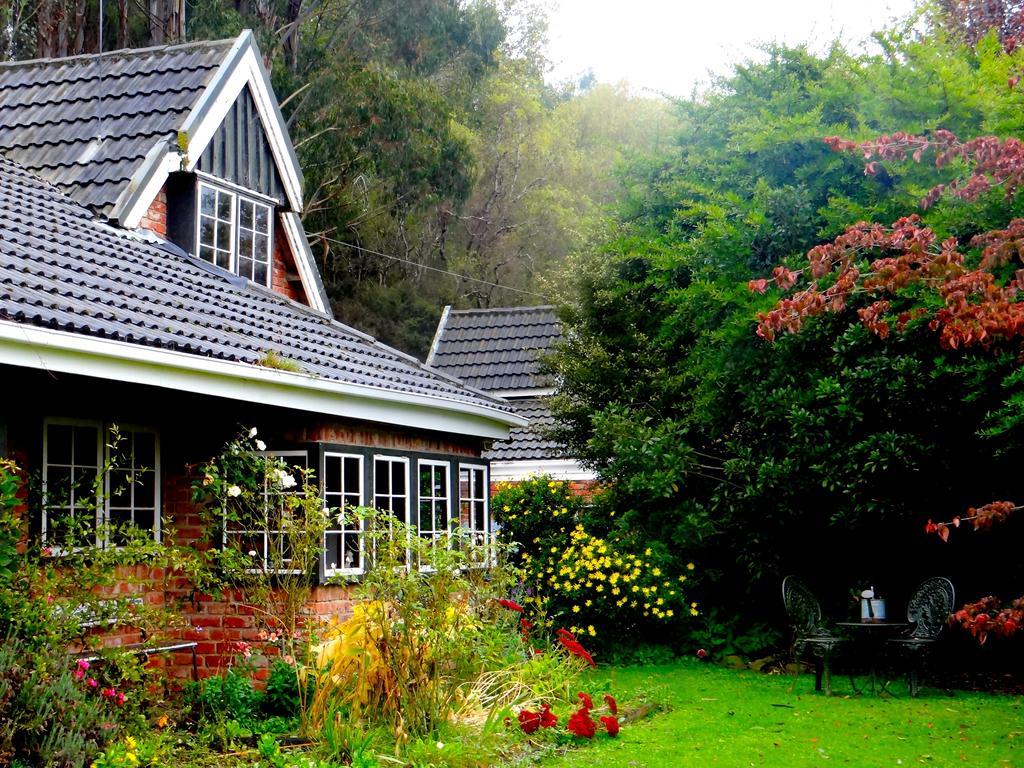 Arden Country House Waitati Exteriör bild