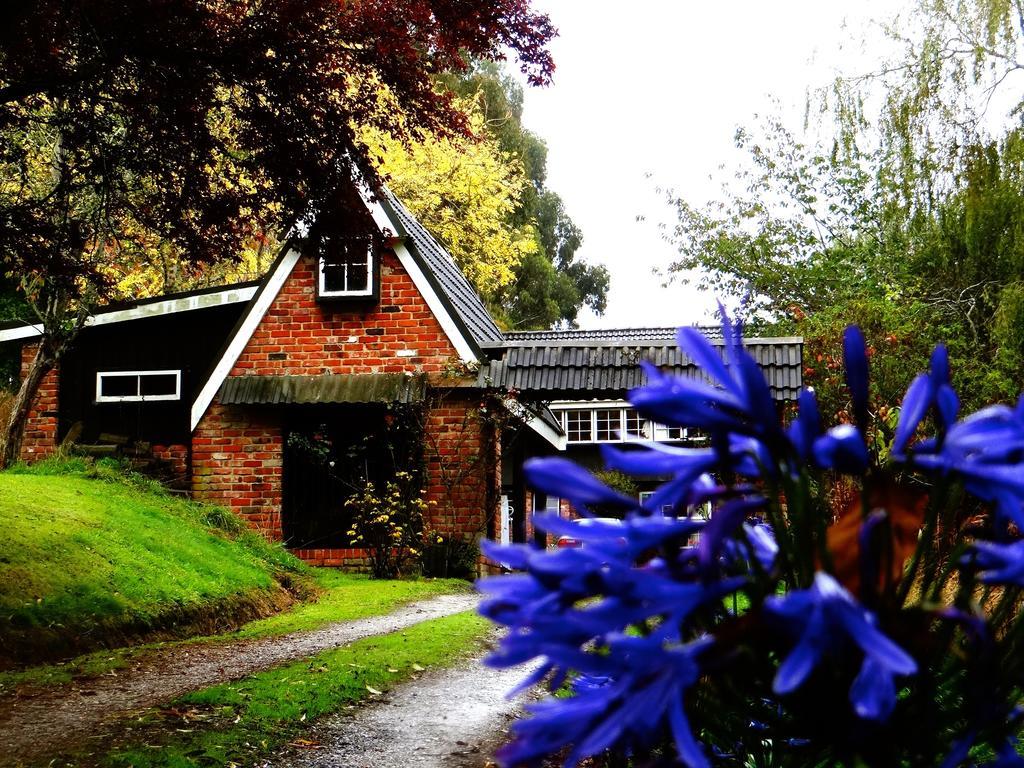 Arden Country House Waitati Exteriör bild